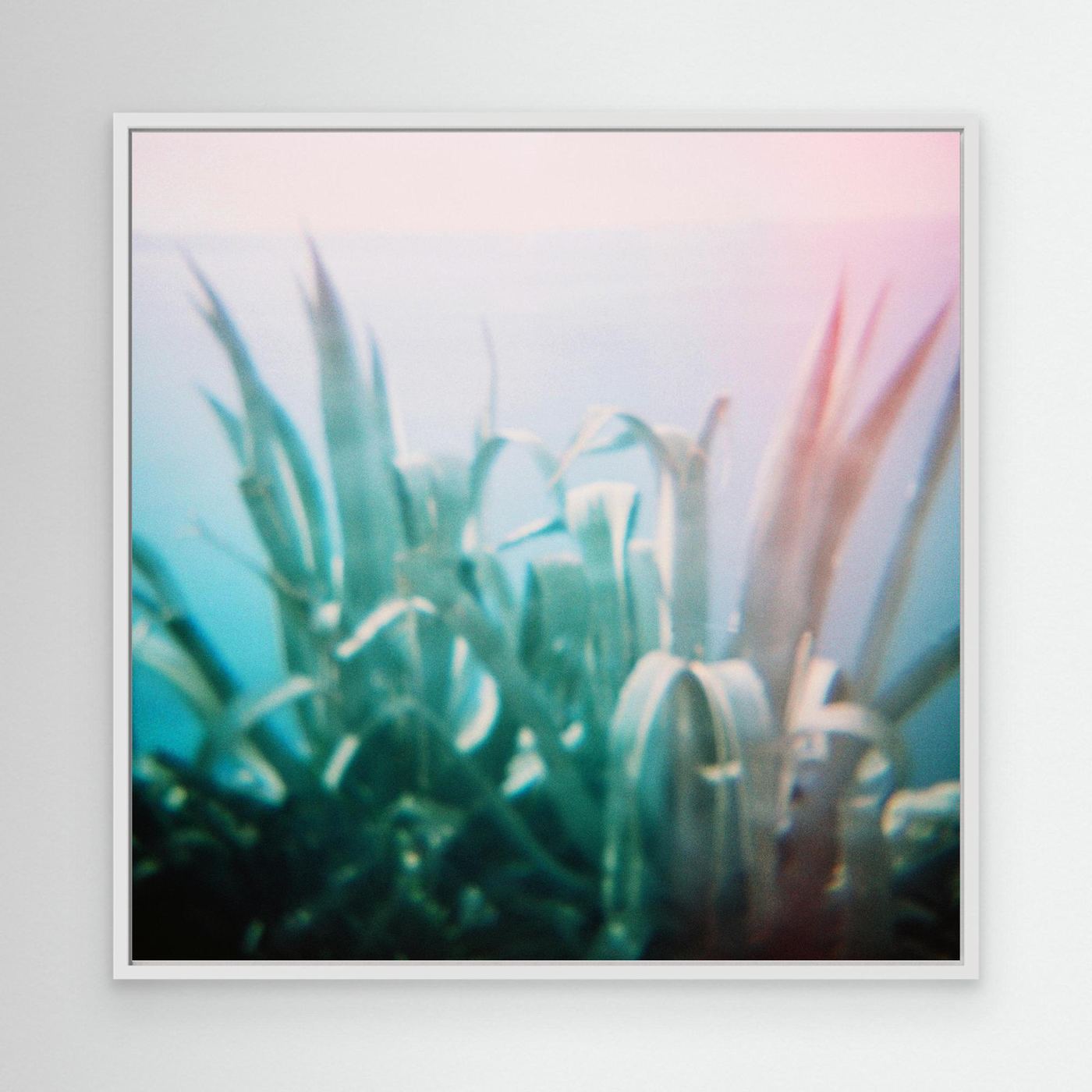 'Dreaming of places | Agave' Photo Art - Framed Canvas Art Print