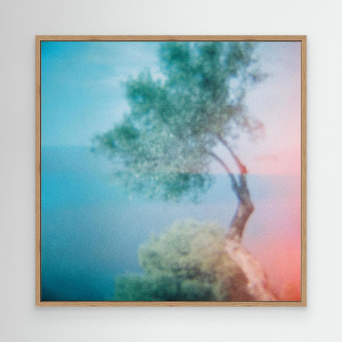 'Dreaming of places | Olive Tree' Photo Art - Framed Canvas Art Print
