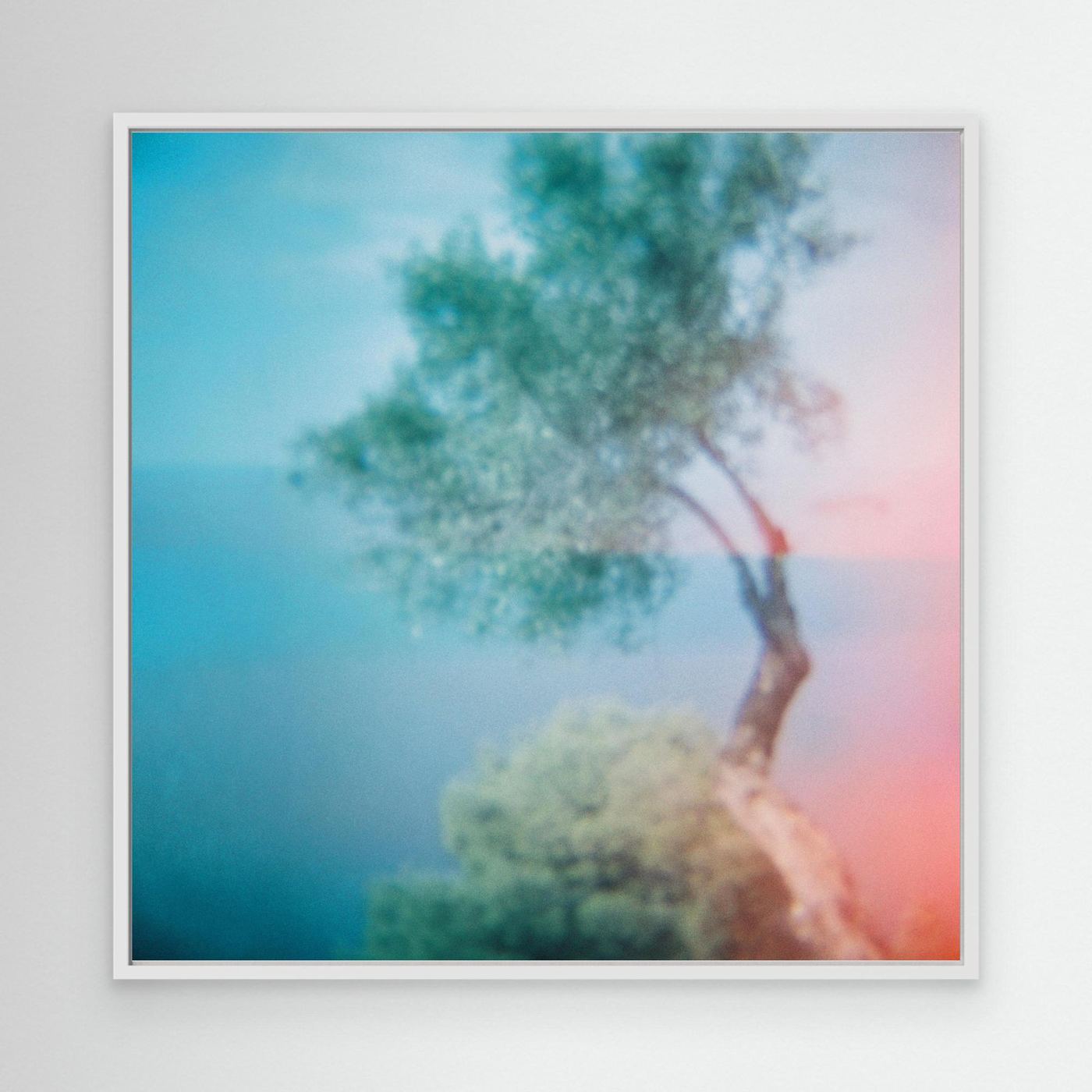 'Dreaming of places | Olive Tree' Photo Art - Framed Canvas Art Print